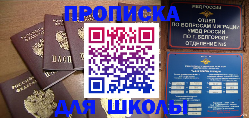 прописка гарантия в Высоковске